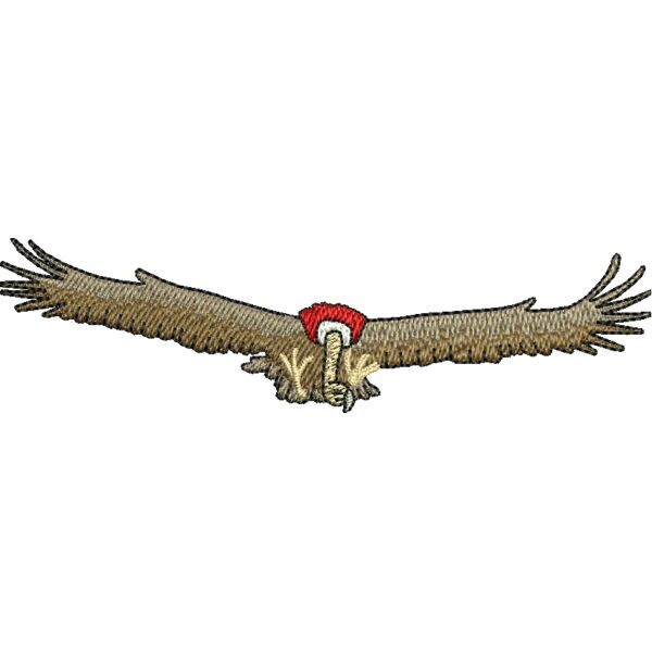 396355 Thumbnail